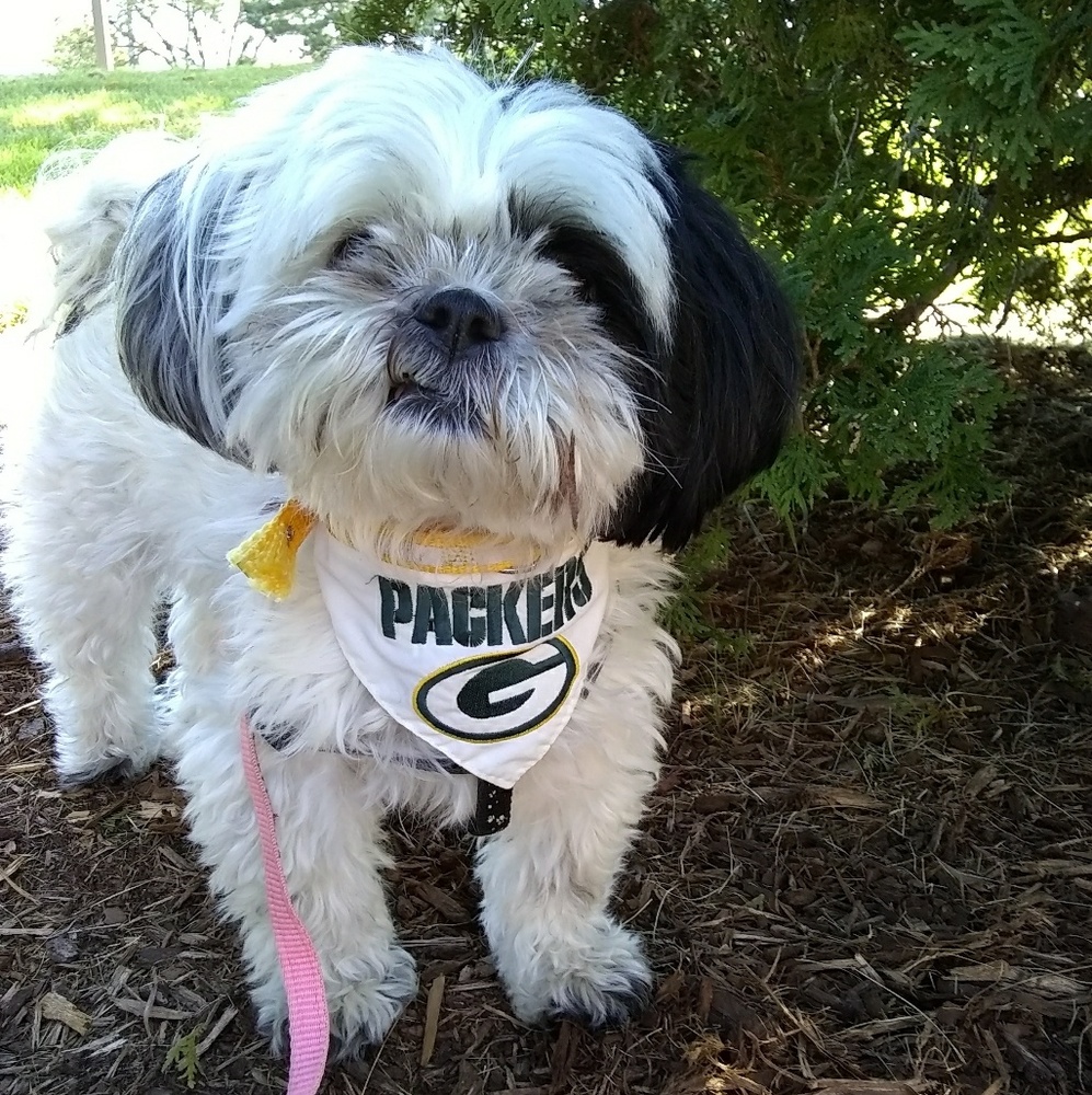 Meet your Posher, Janet